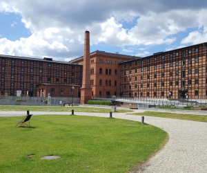 Majówka w Bydgoszczy 