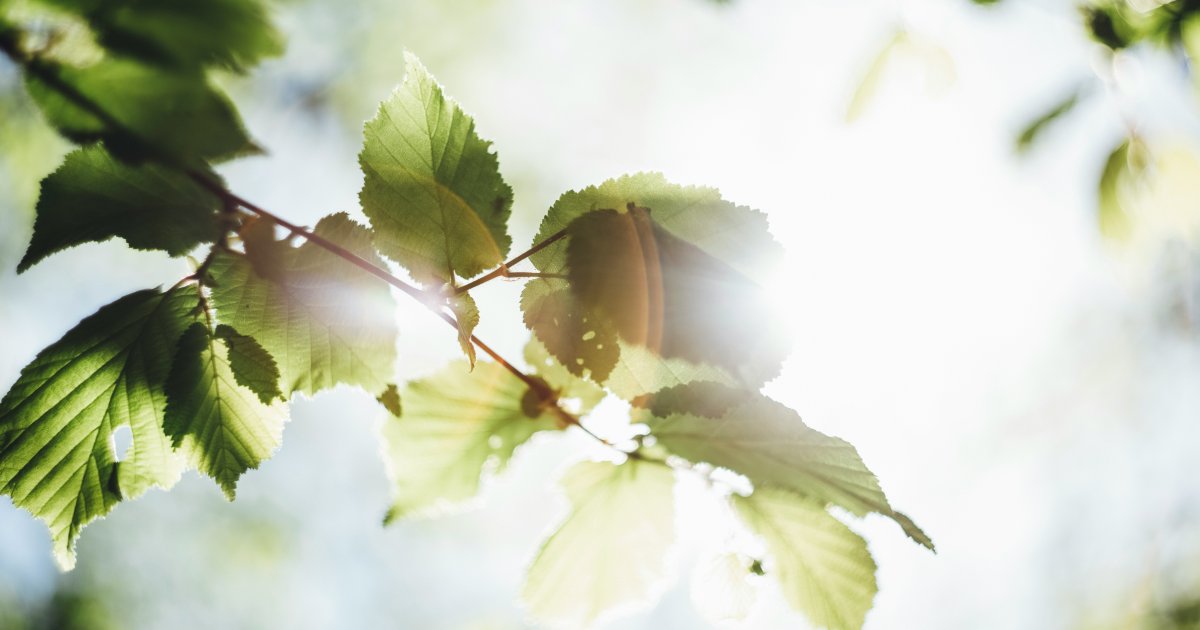 Warmiński Hotel & Conference