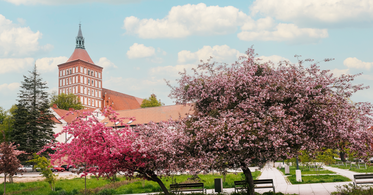 Warmiński Hotel & Conference