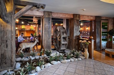 Кафе и оранжерея 