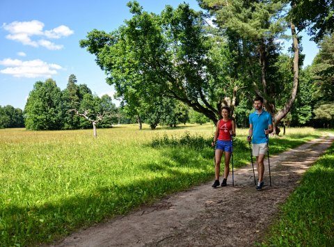 Ходьба с палками