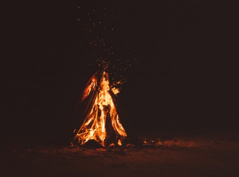 Bon fire in the heart of the Bialowieza Forest