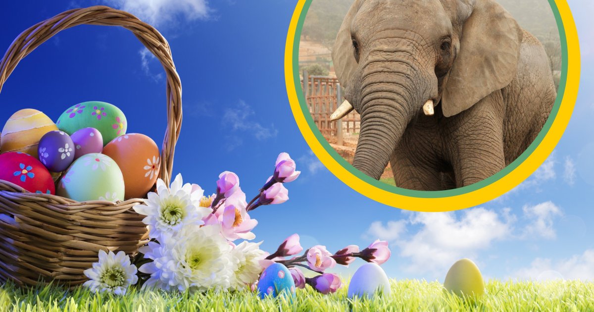 Hotel Poznań HP Park