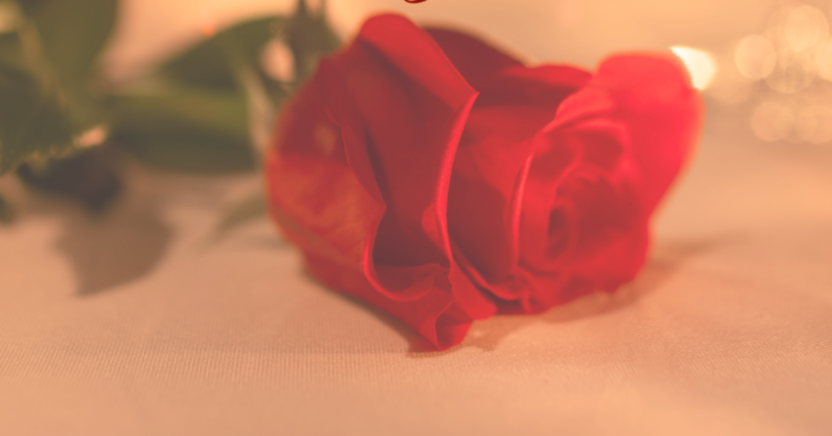 Hotel Olsztyn HP Park