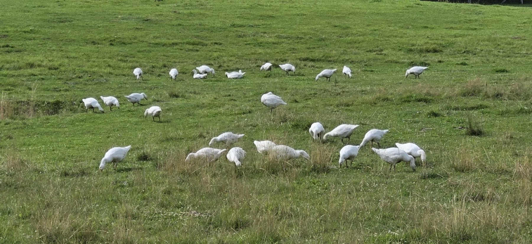 Podrobnosti blogu