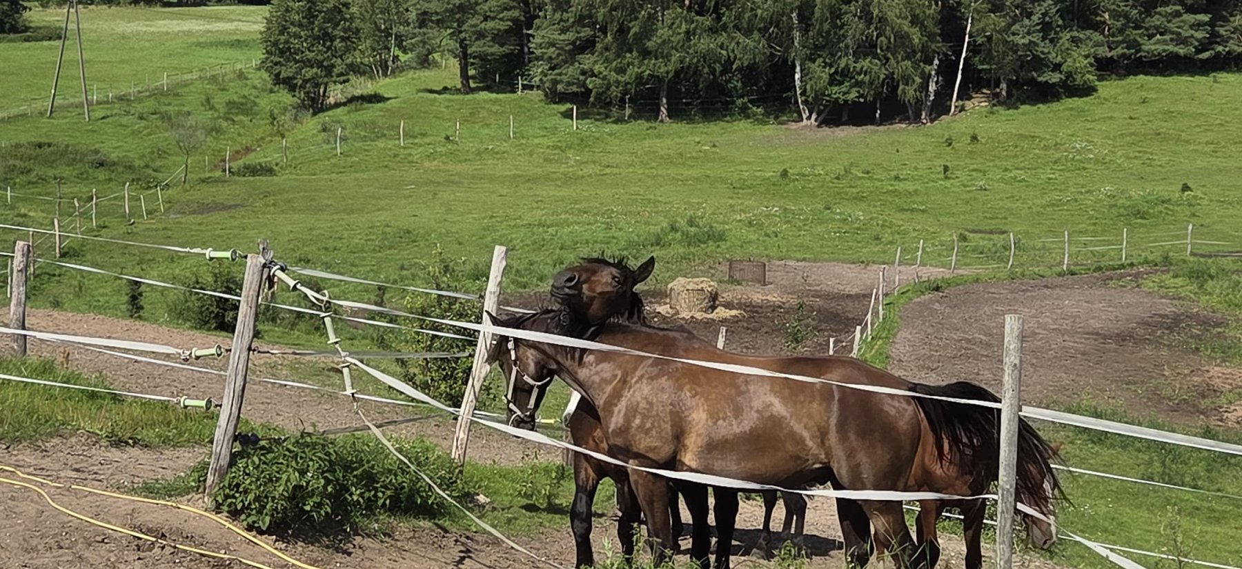 Podrobnosti blogu