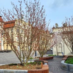 Remont rynku w Poznaniu skończony – już działa odnowiony Stary Rynek w Poznaniu