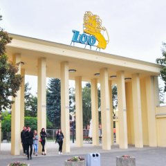 Zoo we Wrocławiu – dlaczego warto je odwiedzić?