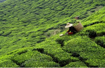 Egzotyczne podróże ze smakiem