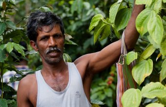 Egzotyczne podróże ze smakiem