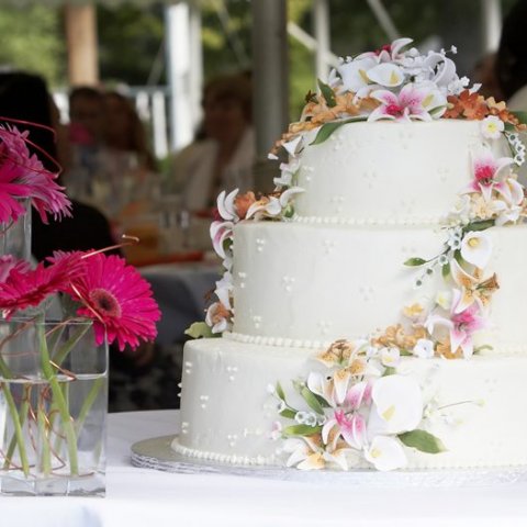 Setki zadowolonych Gości weselnych