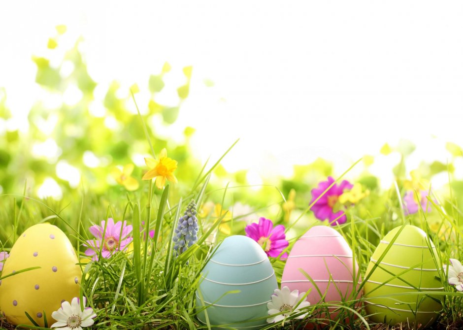 Wielkanoc ze słoniem