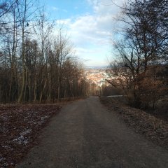 Atrakcje Wieliczki Park pod Baranem