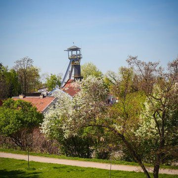 Świetna lokalizacja