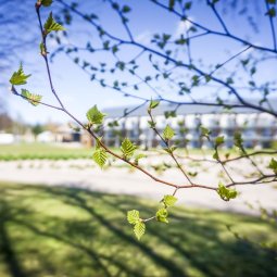 Окрестности