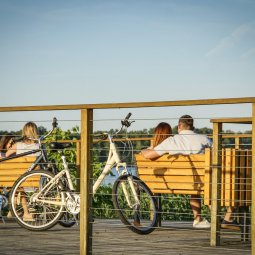 Окрестности