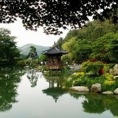 Jablunkov - arboretum