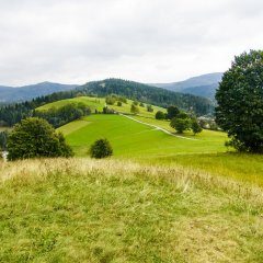 Puchar Polski w Downhillu