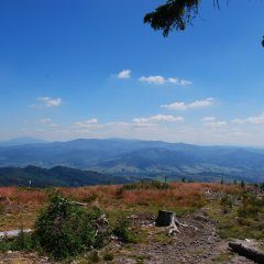 Wieża Widokowa Na Baraniej Górze –  Wisła Czarne 