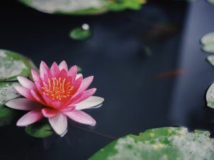 Relaxační Centrum SPA