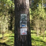 Hotel Warszawa, Augustów