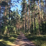 Hotel Warszawa, Augustów