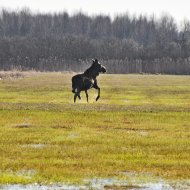 Hotel Warszawa, Augustów