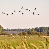 Hotel Warszawa, Augustów