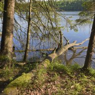 Hotel Warszawa, Augustów