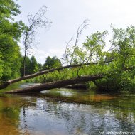 Hotel Warszawa, Augustów