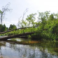 Hotel Warszawa, Augustów