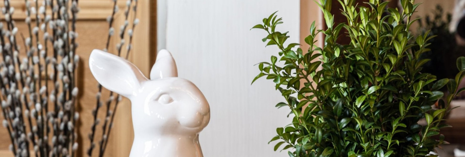 Wielkanoc z dziećmi w Bachleda Hotel Kasprowy – animacje, zabawa i rodzinna atmosfera 