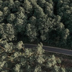 Eventy firmowe w sercu lasu &ndash; dlaczego to działa?