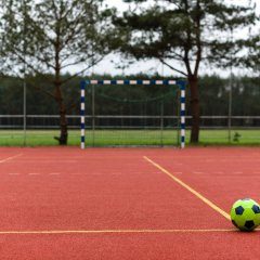 Multifunctional sports ground