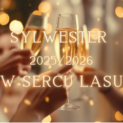 Spokojny Sylwester 2025/2026 pod Warszawą – Hotel Kawallo