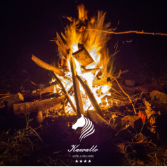 Ognisko z saunowaniem w sercu lasu pod Płockiem – 11.10.2025