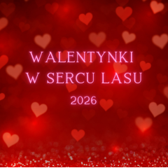 Spędź WALENTYNKI 2026 w Hotelu Kawallo! 