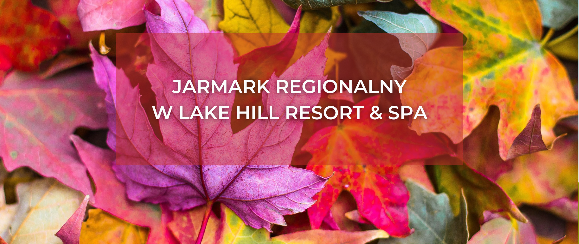 Regionally at Lake Hill Hotel | 23.10.