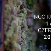 Noc Kultury