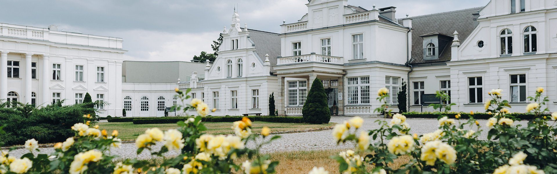 Pałac Romantyczny, Turzno