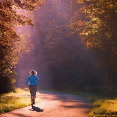 43. Harz-Gebirgslauf in Wernigerode
