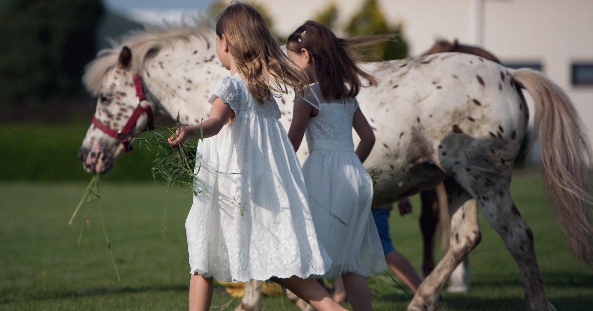Sielanka nad Pilicą 