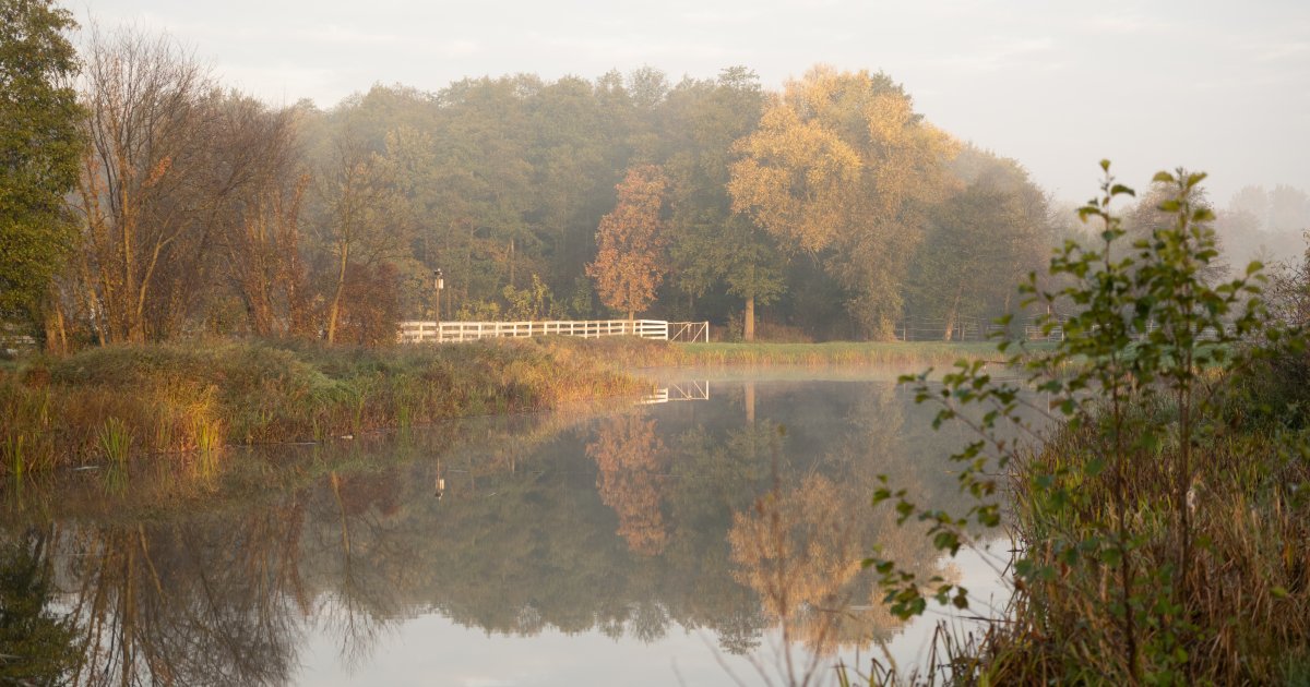 Sielanka nad Pilicą 