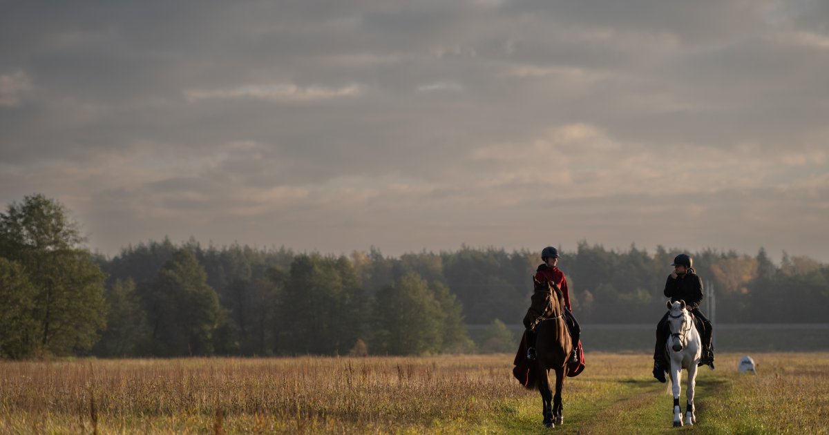 Sielanka nad Pilicą 