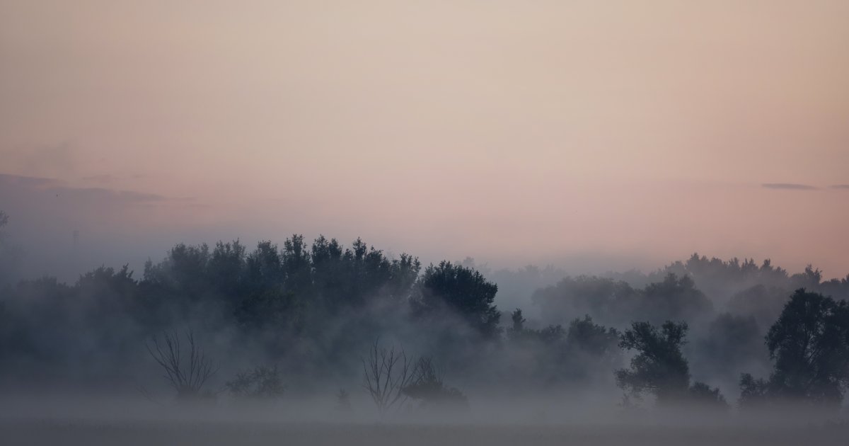 Sielanka nad Pilicą 