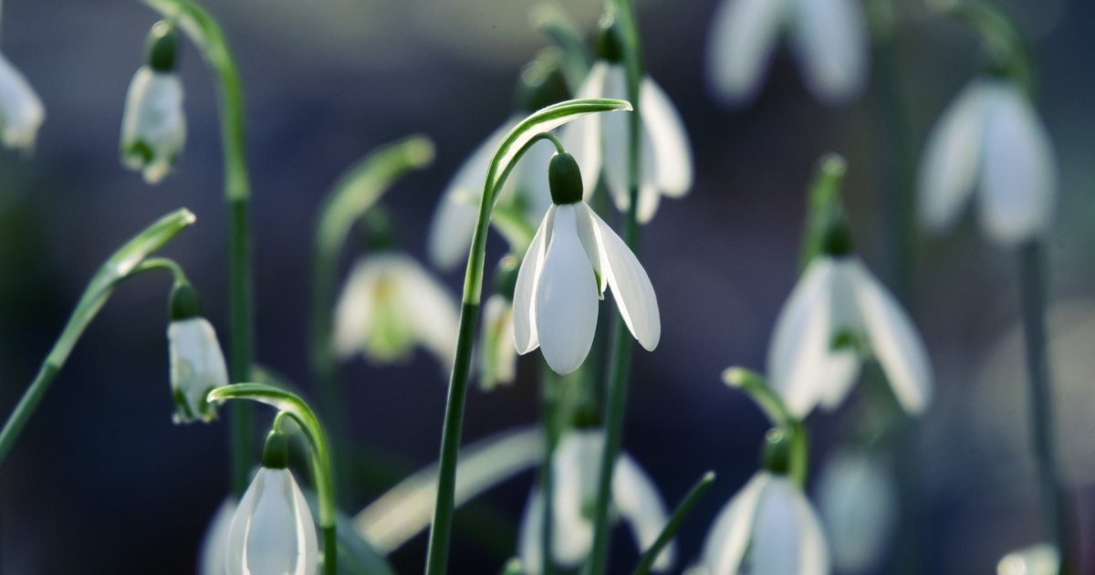 Sielanka nad Pilicą 