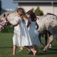 Rodzinny wypoczynek w Hotelu Sielanka nad Pilicą – 100 hektarów atrakcji dla dzieci i dorosłych