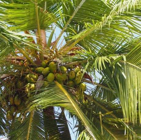 Die großartige Lage