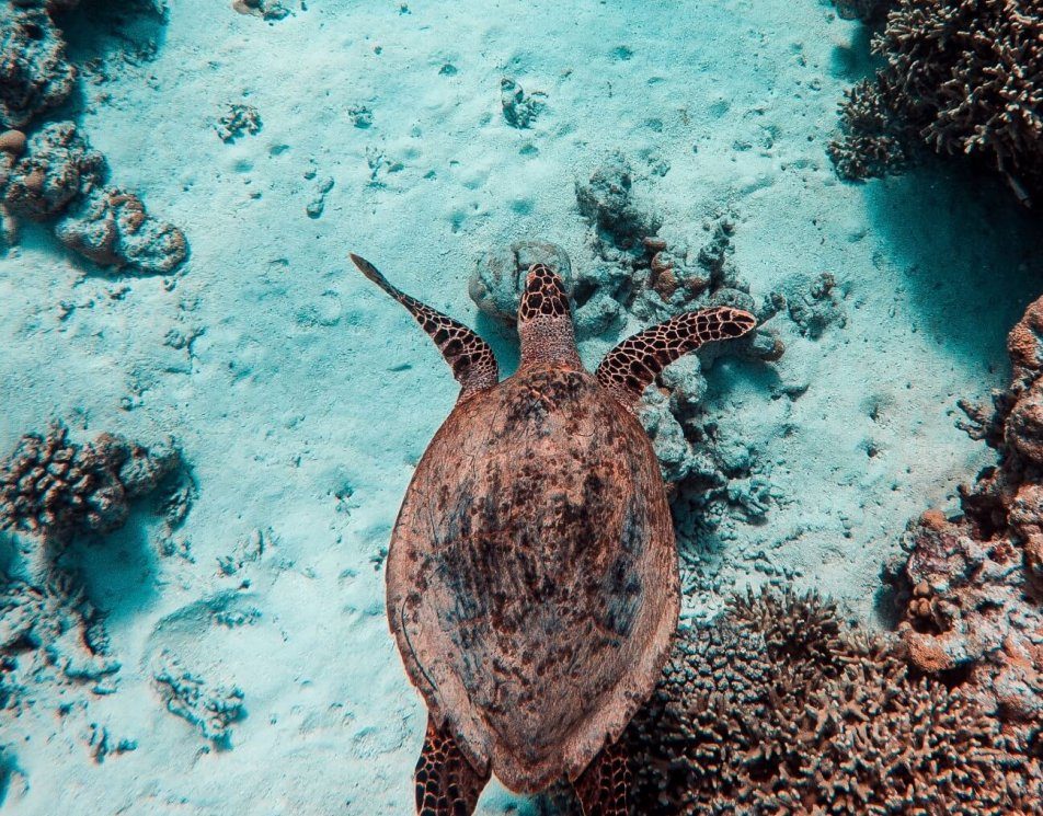 Die großartige Lage