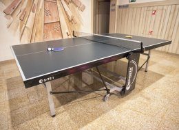 Table tennis